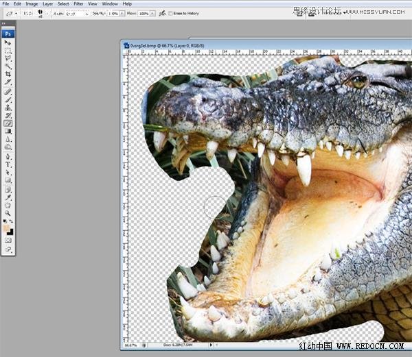 Photoshop合成创意的长着鳄鱼头的青蛙,PS教程,图老师教程网