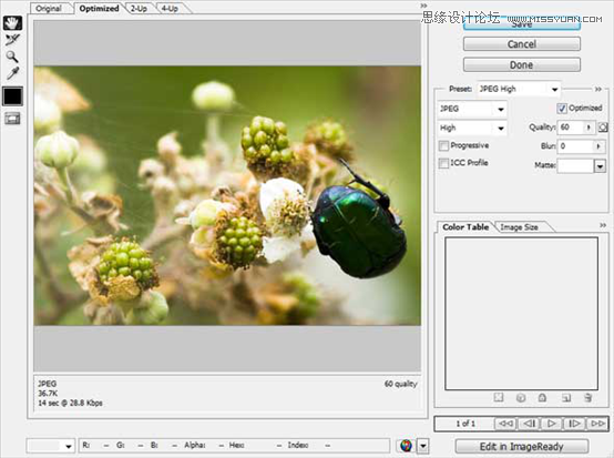 Photoshop将图片存储为WEB所用格式技巧,PS教程,图老师教程网