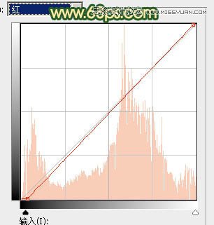 Photoshop调出人像照片复古黄色调效果,PS教程,图老师教程网