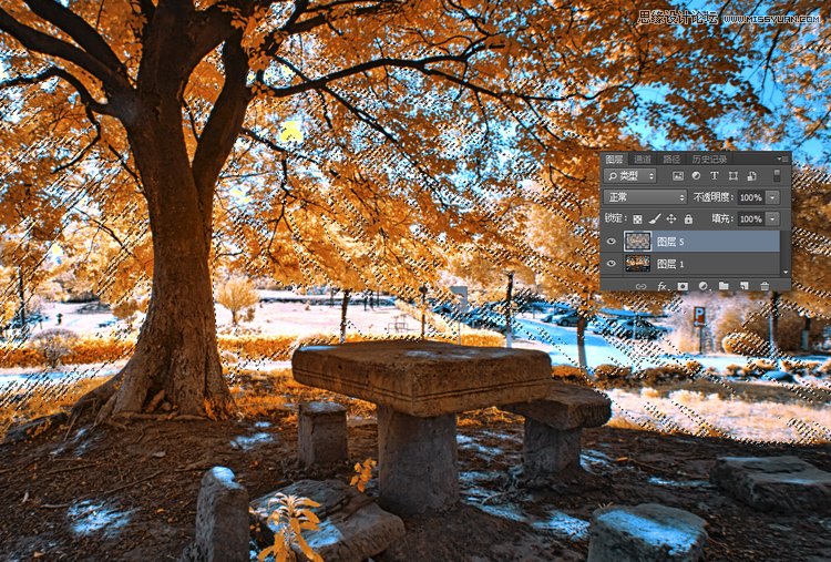 Photoshop给大树添加唯美的光线效果,PS教程,图老师教程网