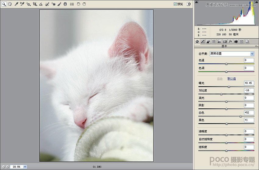 Photoshop三步子制作锐化效果的猫咪毛发,PS教程,图老师教程网