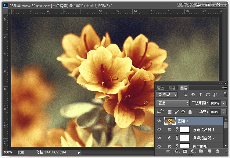 Photoshop调出花朵照片欧美金色效果,PS教程,图老师教程网