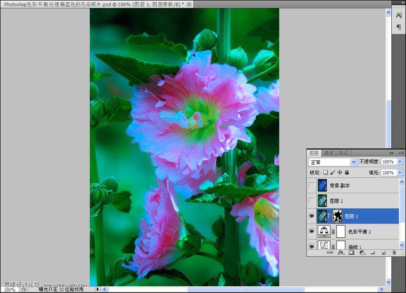Photoshop给严重偏色的花朵照片较色,PS教程,图老师教程网