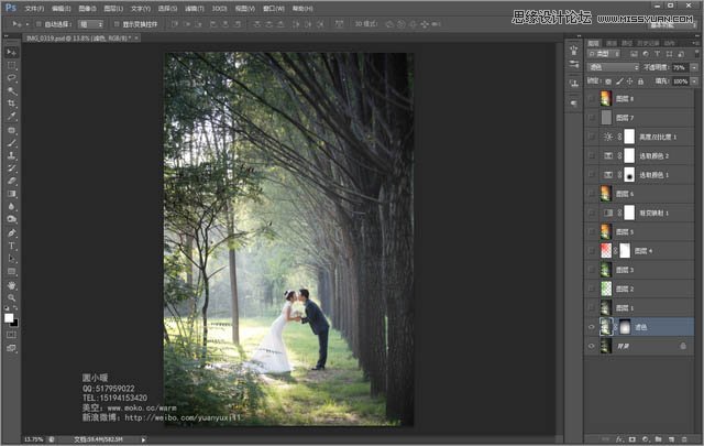 Photoshop调出森林婚纱照片绚丽的阳光色彩,PS教程,图老师教程网