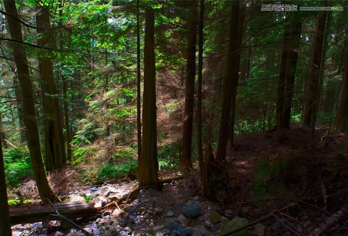 Photoshop给森林照片添加柔美的光线效果,PS教程,图老师教程网
