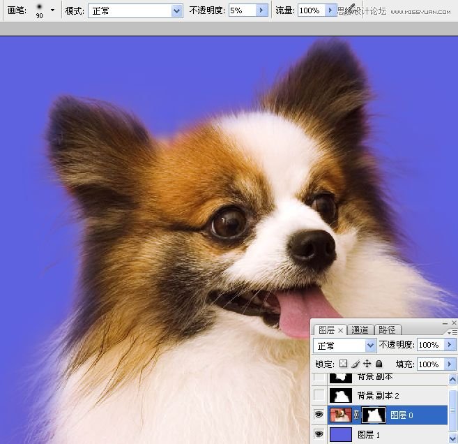 Photoshop使用通道混合器给狗狗抠图,PS教程,图老师教程网
