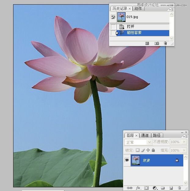 Photoshop合成色彩艳丽的荷花图,PS教程,图老师教程网