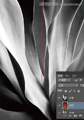 Photoshop使用计算工具调出别致的颜色,PS教程,图老师教程网