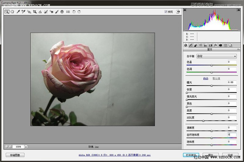Photoshop调出柔美清新的粉色玫瑰效果,PS教程,图老师教程网