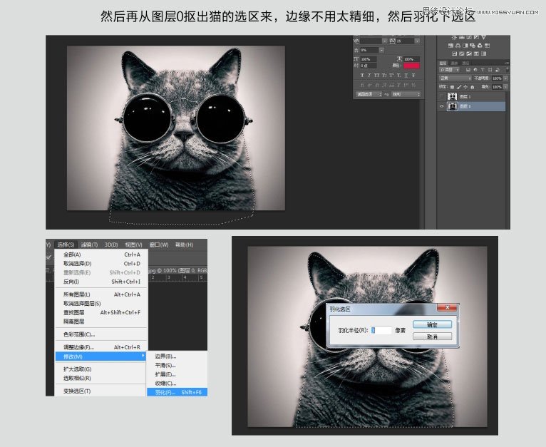 Photoshop巧用通道给猫咪图片抠图,PS教程,图老师教程网