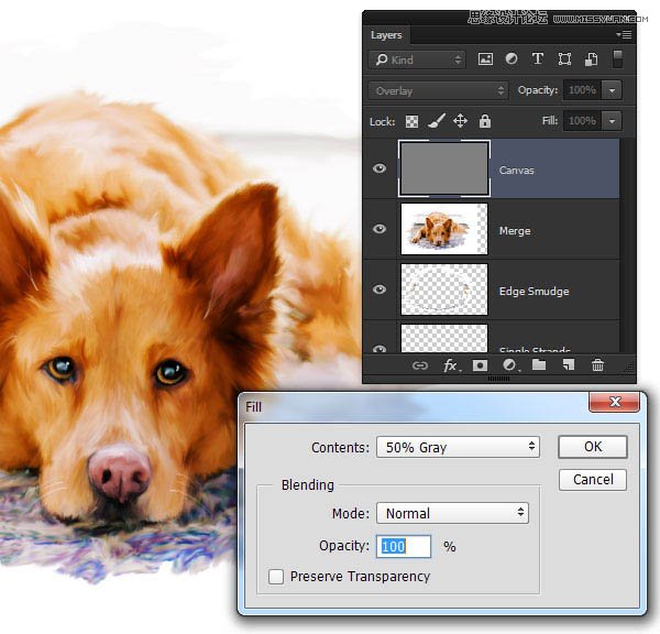 Photoshop利用涂抹工具把照片转为绘画效果,PS教程,图老师教程网