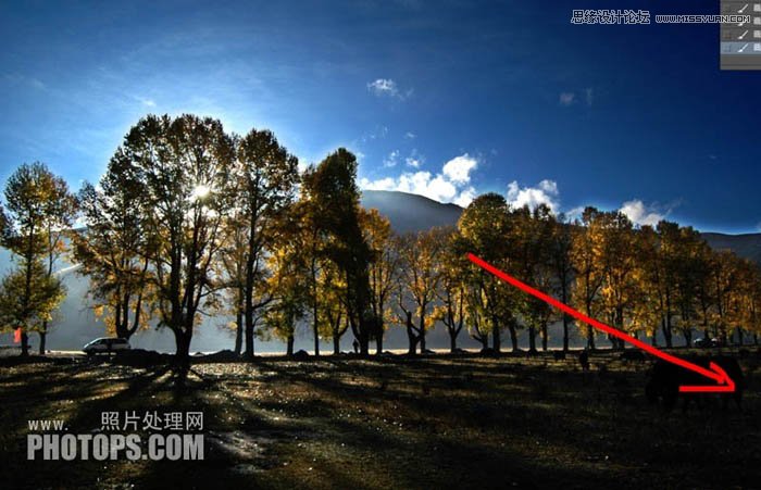 Photoshop使用通道还原美丽的森林风景图,PS教程,图老师教程网