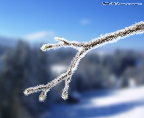 Photoshop给树枝添加冬季冰凌效果,PS教程,图老师教程网