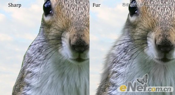 Photoshop打造草原上的超酷的松鼠战士,PS教程,图老师教程网