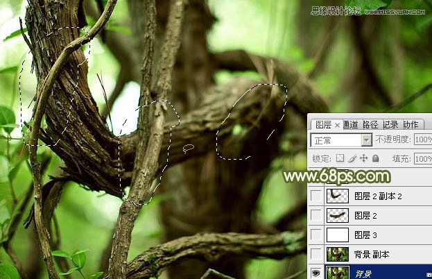 Photoshop制作创意的树藤艺术字教程,PS教程,图老师教程网