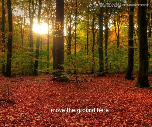 Photoshop合成唯美的森林仙子场景图,PS教程,图老师教程网