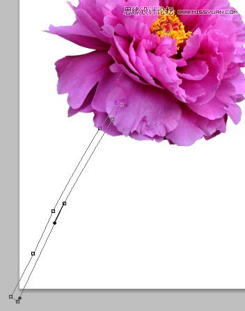 Photoshop设计动感飞溅效果的艺术花朵,PS教程,图老师教程网