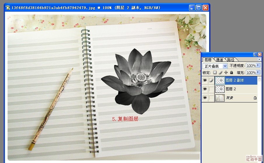 Photoshop简单几步制作圆珠笔画效果,PS教程,图老师教程网