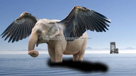 Photoshop合成一头长了翅膀的大象,PS教程,图老师教程网
