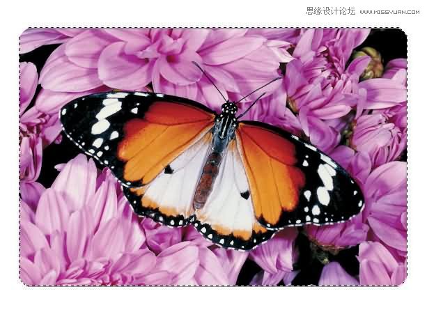 Photoshop制作漂亮的另列邮票效果,PS教程,图老师教程网