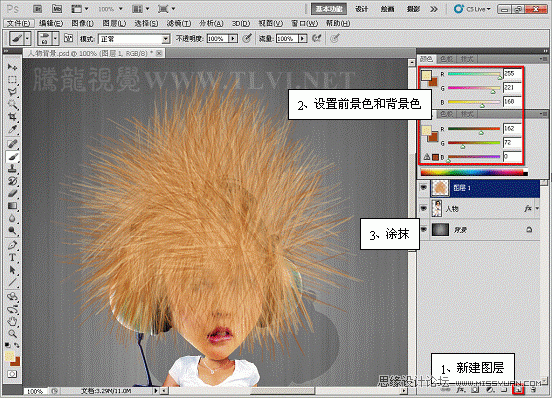 Photoshop CS5画笔工具：绘制卡通人物头发,PS教程,图老师教程网