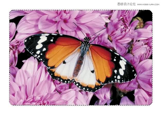 Photoshop制作漂亮的另列邮票效果,PS教程,图老师教程网