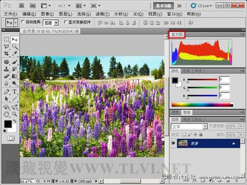 Photoshop使用直方图分析图像色彩,PS教程,图老师教程网