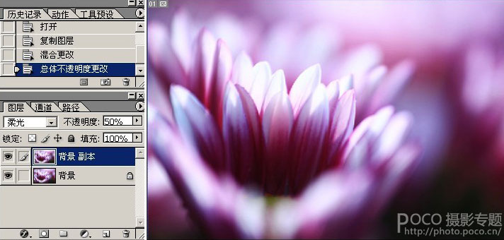 Photoshop简单使用素材叠加制作暗调花朵,PS教程,图老师教程网