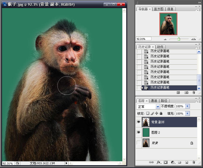 Photoshop应用抽出抠出猴子毛发教程,PS教程,图老师教程网