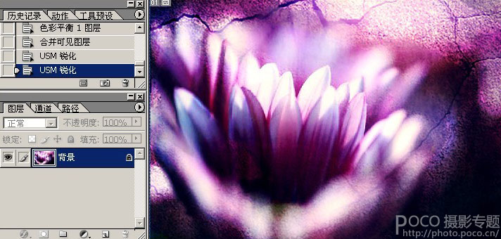 Photoshop简单使用素材叠加制作暗调花朵,PS教程,图老师教程网