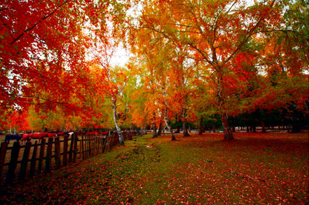 Photoshop为秋日的风景照片调出高饱和色调,PS教程,图老师教程网