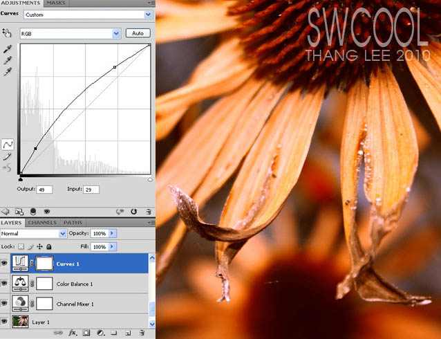 Photoshop调出花朵清晰的橙黄色效果,PS教程,图老师教程网
