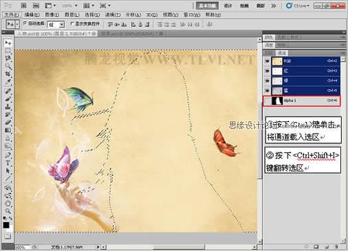 Photoshop CS5中的色调功能使用技巧,PS教程,图老师教程网