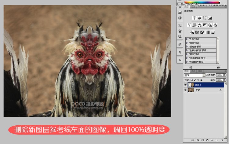 Photoshop合成创意另类的大公鸡,PS教程,图老师教程网