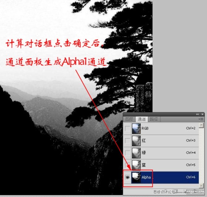 Photoshop应用图像与计算在抠图中的应用,PS教程,图老师教程网