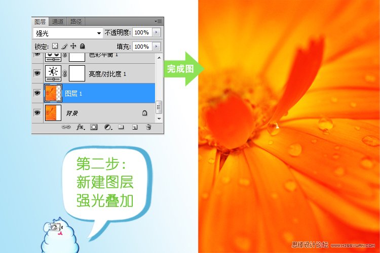 Photoshop简单调出创意的花卉效果,PS教程,图老师教程网