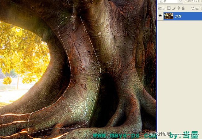 Photoshop合成超酷的树妖效果图,PS教程,图老师教程网