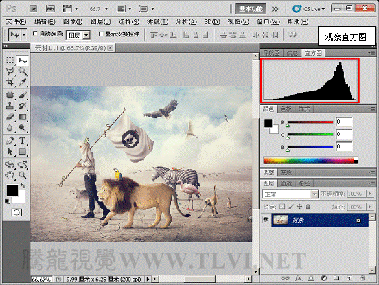 Photoshop CS5教程：解析色阶在图像调整中的作用,PS教程,图老师教程网