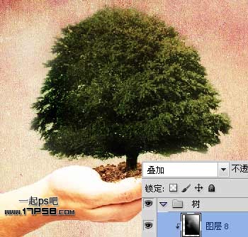 Photoshop合成在手心捧着的大树,PS教程,图老师教程网