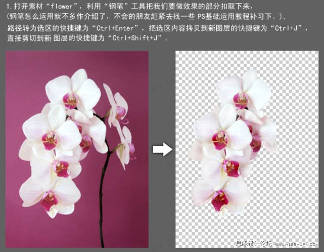 Photoshop合成动感的牛奶花朵,PS教程,图老师教程网