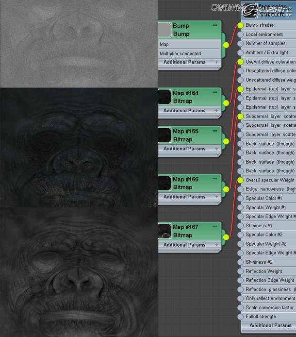 3ds Max制作逼真的黑猩猩教程,PS教程,图老师教程网