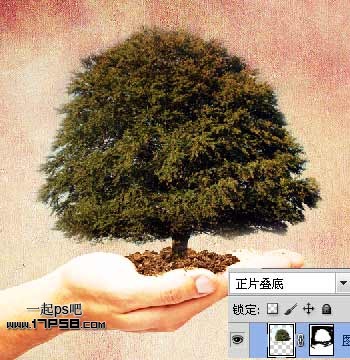 Photoshop合成在手心捧着的大树,PS教程,图老师教程网