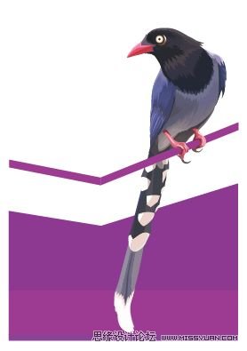 Illustrator色阶画法精细绘制鸟类插画,PS教程,图老师教程网