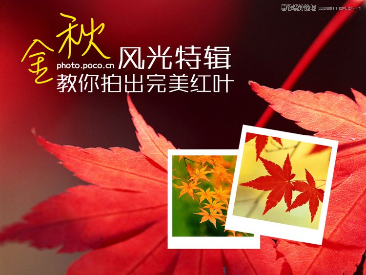 秋季摄影中完美红叶拍摄技巧,PS教程,图老师教程网