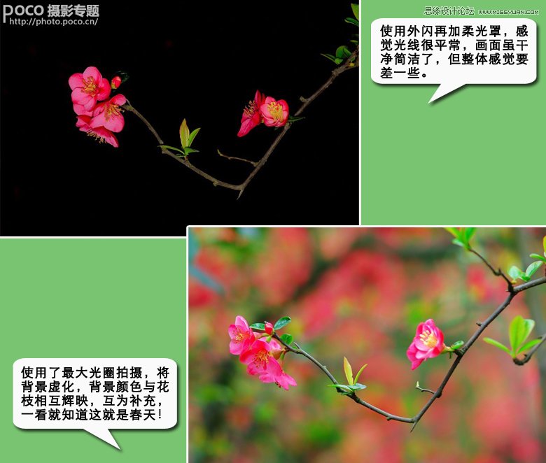 浅谈春季花卉花朵拍摄全攻略,PS教程,图老师教程网