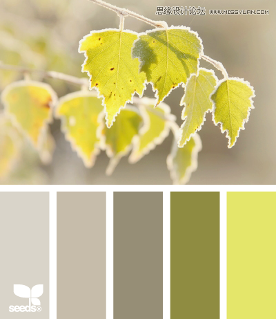 配色设计：来源于生活与大自然,PS教程,图老师教程网