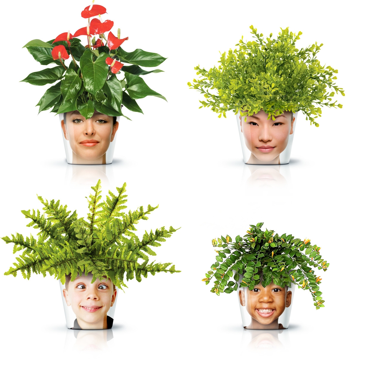 Facepots 创意人像盆栽