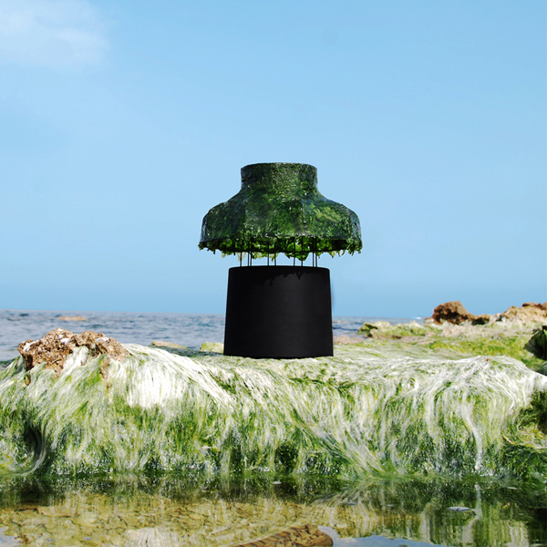 seaweed marine light table lamp by nir meiri