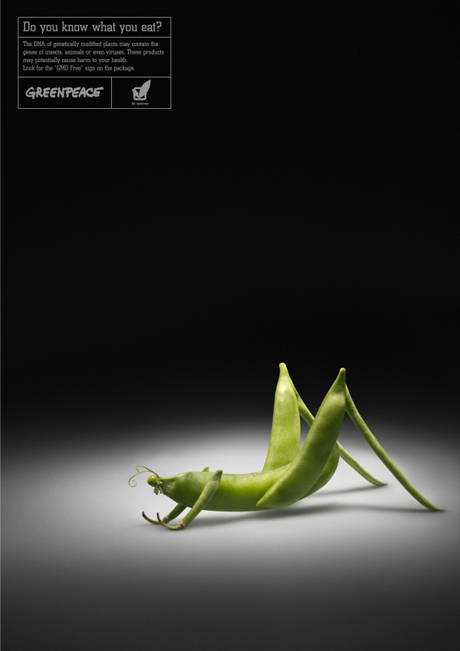 绿色和平：虫虫与蔬菜