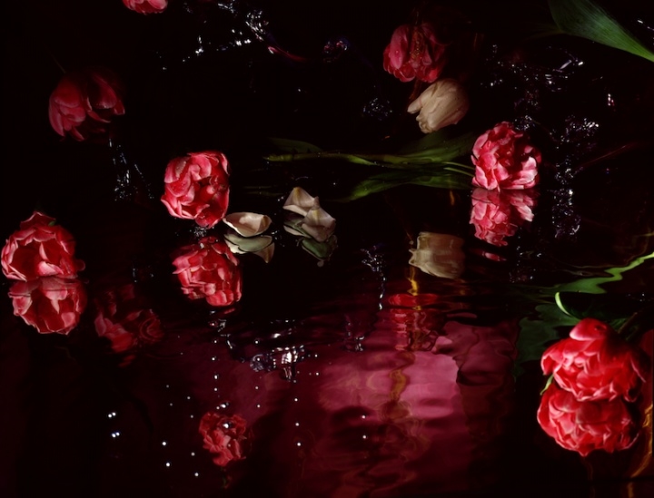 荷兰Margriet Smulders镜花水月般的摄影二